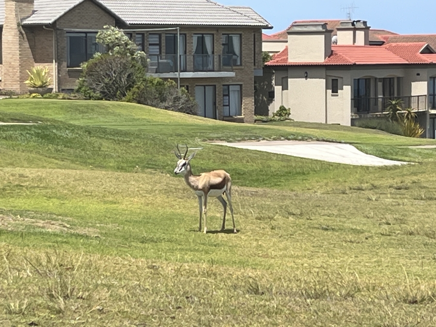 0 Bedroom Property for Sale in Mossel Bay Golf Estate Western Cape